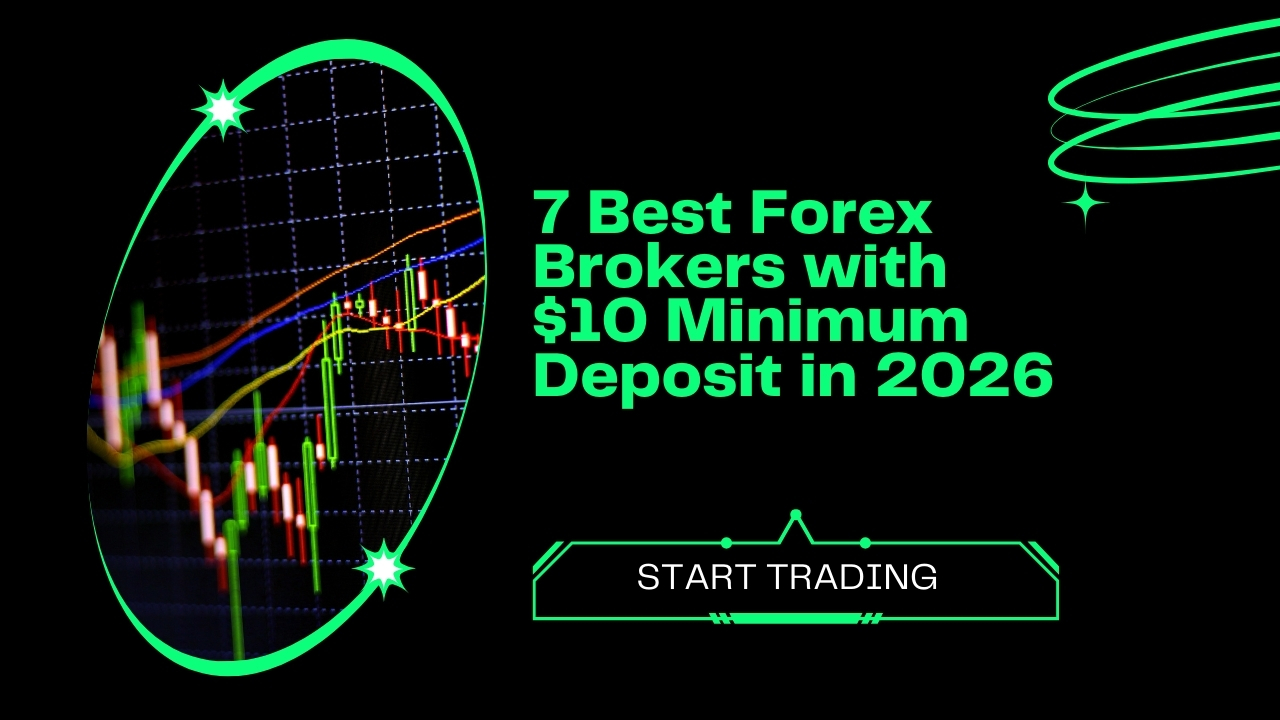 Best Forex Brokers