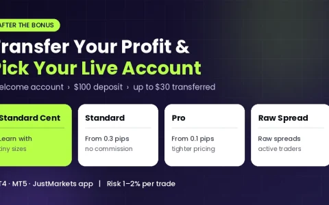 After the JustMarkets $30 Bonus Move Profit to Live Account